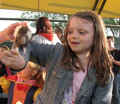 Dreamnight at the zoo